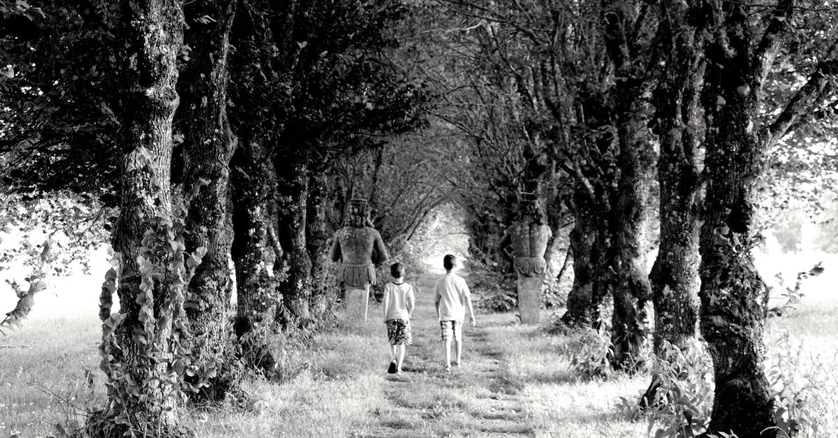 130 years between them - Backview of Children walking in an Unpaved Path between Trees