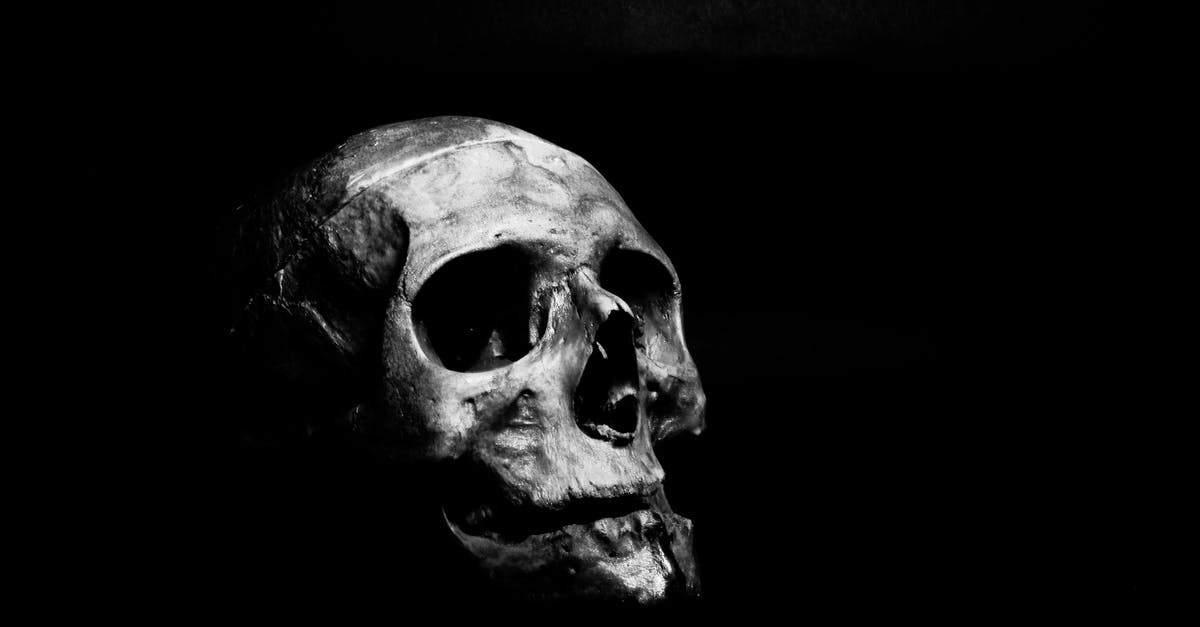 A horror movie that turns out to be a prank [closed] - Grayscale Photography of Human Skull