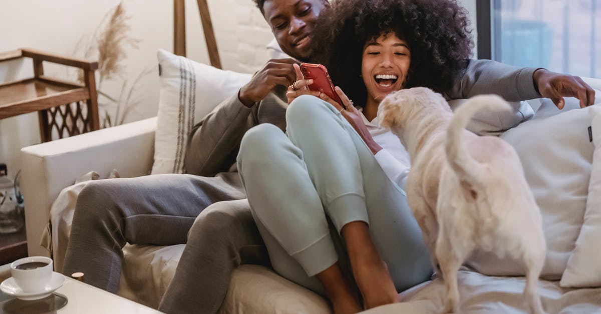 A term for a animation style used in anime - Delighted African American couple sharing smartphone on couch and playing with pet