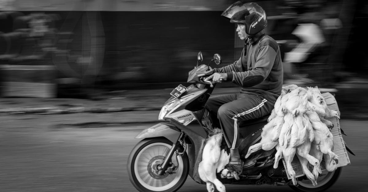 About how many man-hours did it take to animate 101 Dalmatians? - Black and white side view of ethnic motorcyclist in protective helmet riding motorbike with heap of dead geese on asphalt city road