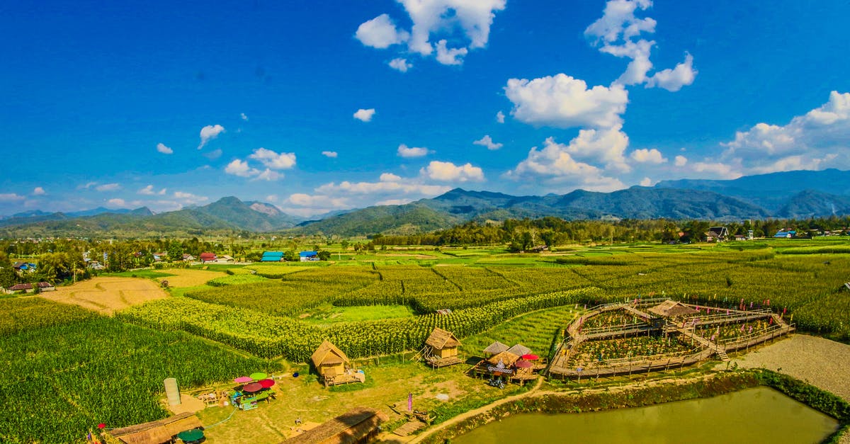 About this scene in Elizabeth Harvest? - Rice Field With Mountain and Houses during Cloudy Day