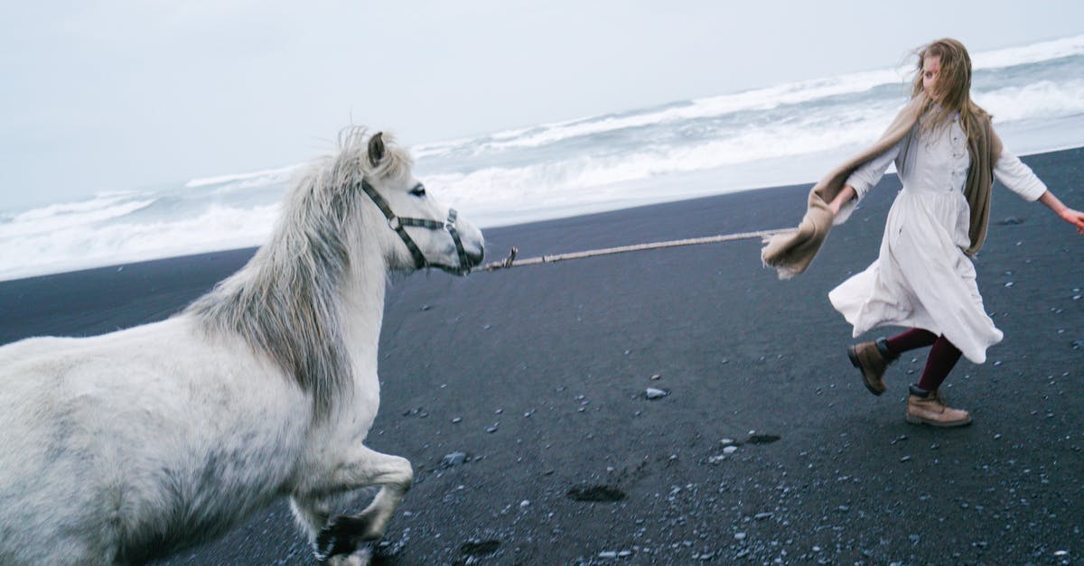 Actors Overly Dressed For Weather in 40-60s movies - Romantic teenage girl leading horse on black sand shore
