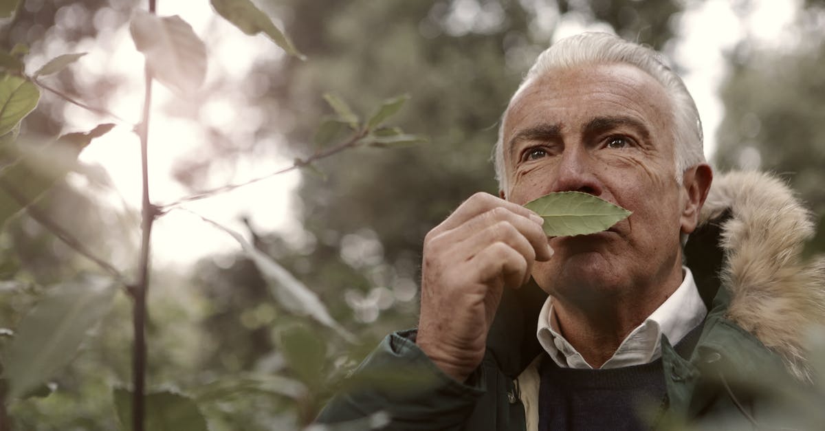 Age portrayal of Han Solo - Adult Man Smelling a Leaf