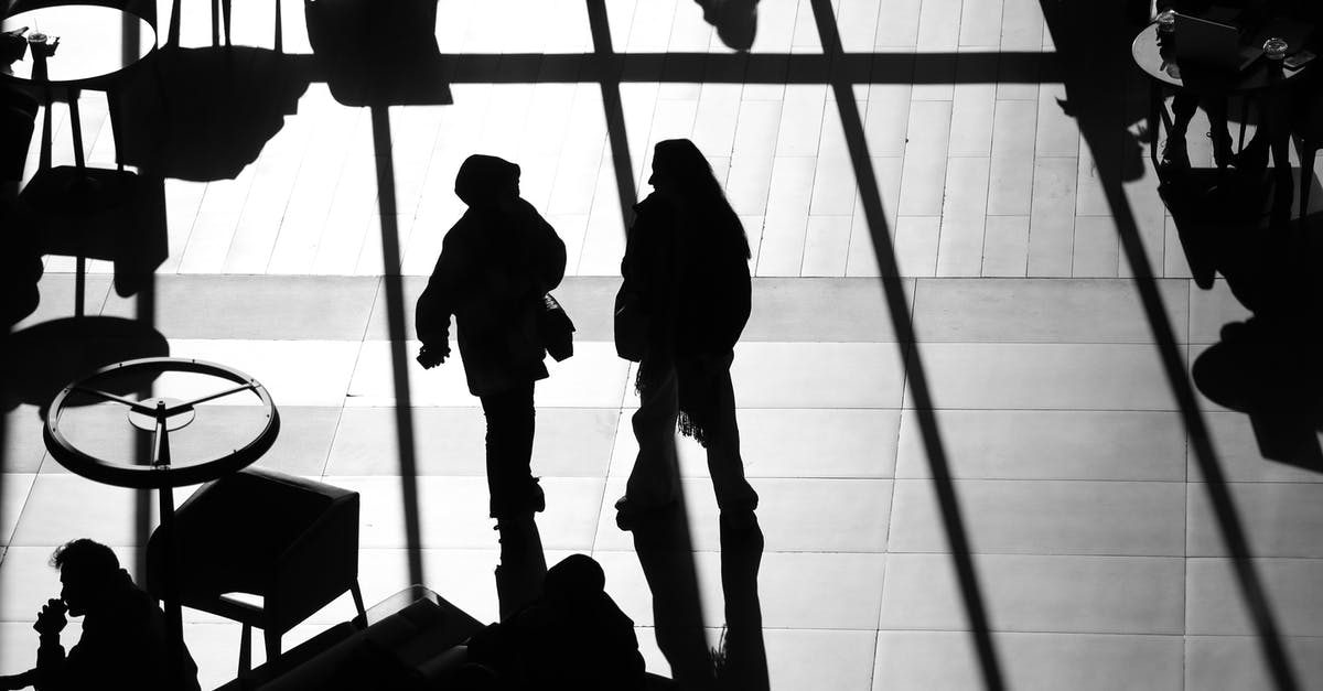 Airport Evacuation Scene - Free stock photo of adult, airport, backlit