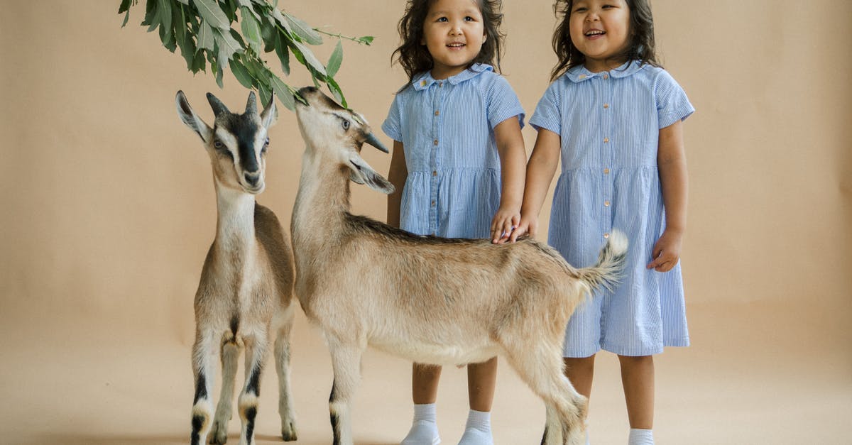 Animals died during the film shooting? - Little Twin Girls Posing with Small Goats