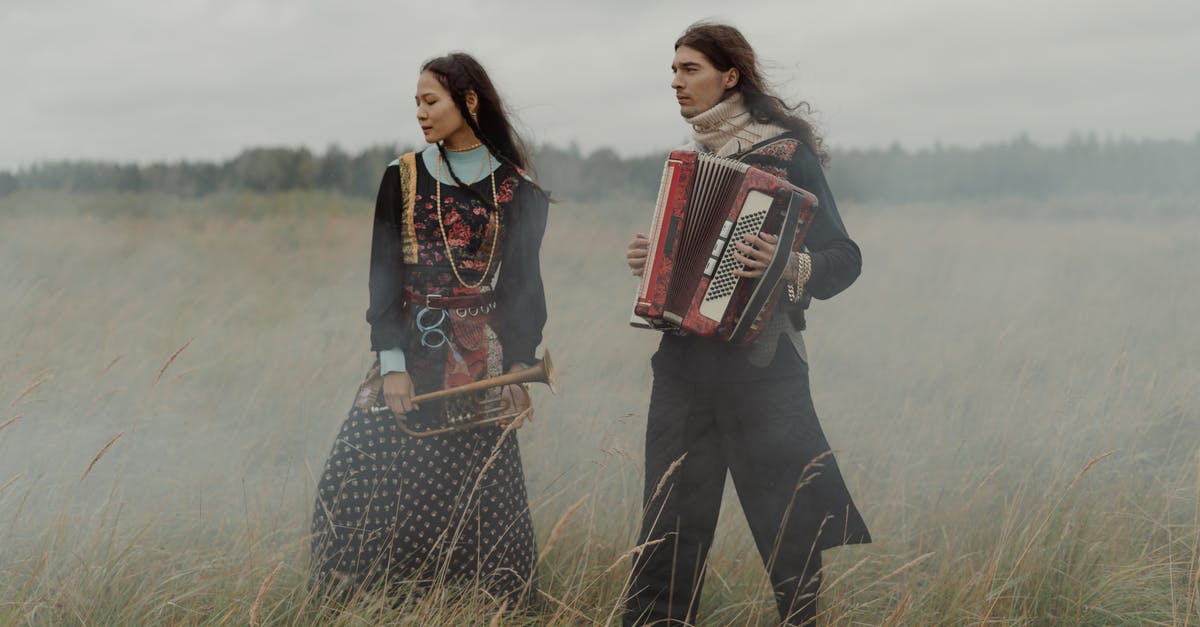 Are some of the musicians actual musicians? - Free stock photo of accordion, adult, bohemian