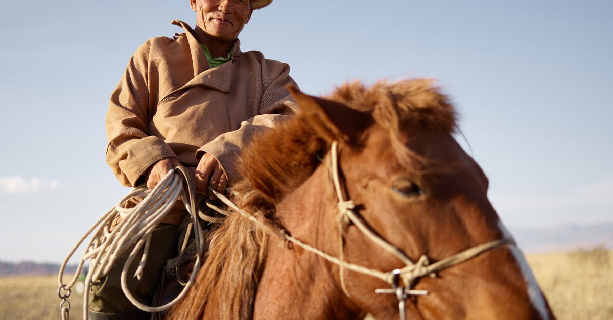 Are the first two episodes of season 4 of Bojack Horseman borrowing plots from films? - Low angle of senior Asian horseman wearing national cloth riding brown horse on blurred background of prairie with dried yellow grass and remote mountains under clear blue sky while looking at camera with smile