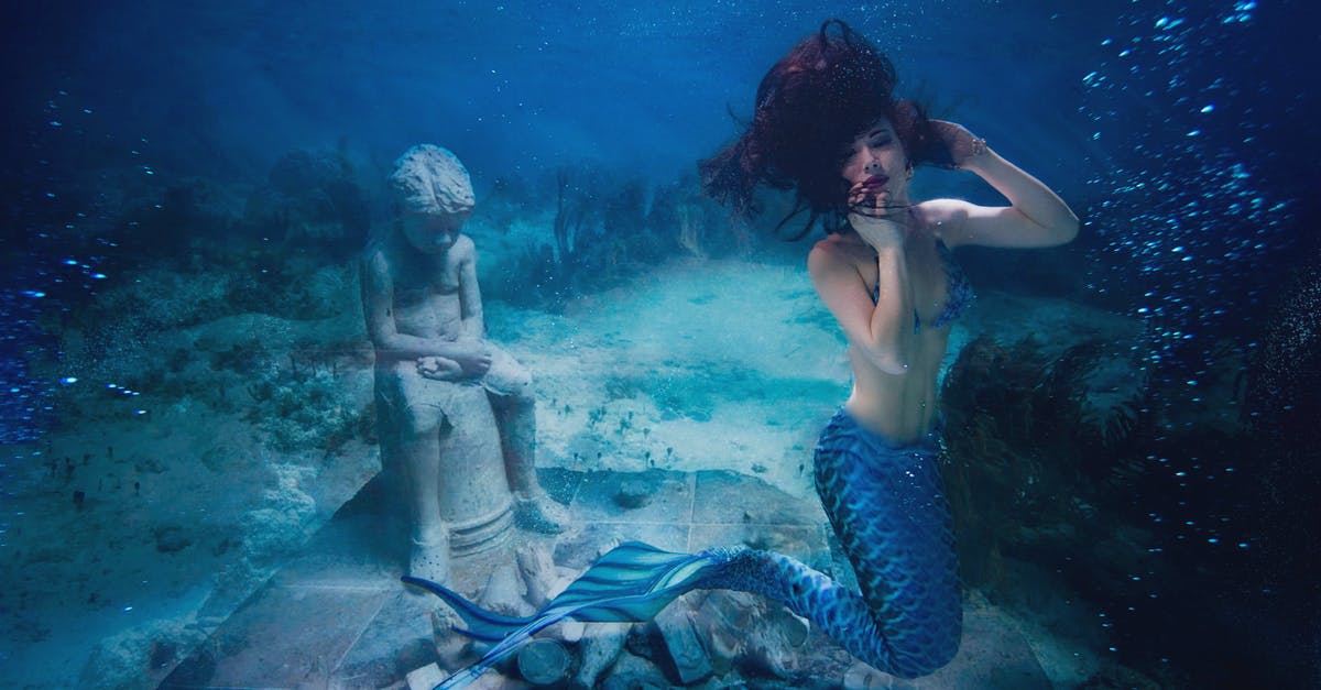 Are the mermaids from The Little Mermaid intentionally modeled after/inspired by the mermaids in Peter Pan? - Underwater Photography of a Mermaid