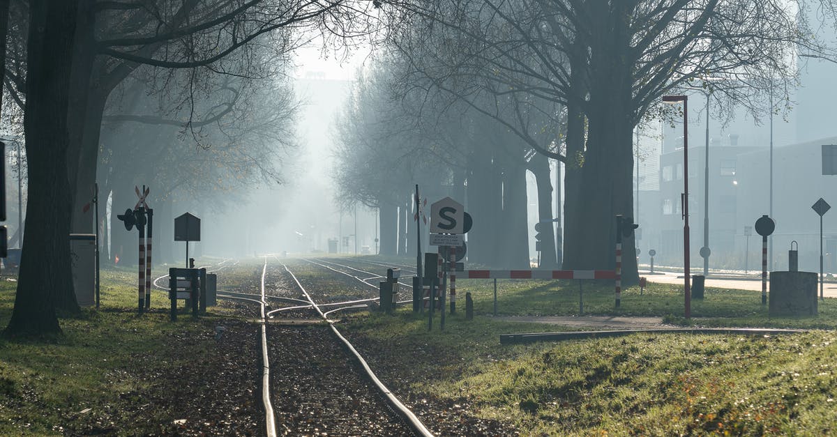 Are there any differences between Supergirl's leaked episode and the broadcast one? - Black Train Rail Near Bare Trees during Foggy Day