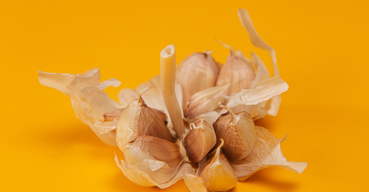 Are vampires really immune to garlic or was that a bluff? - White Garlic in Yellow Background