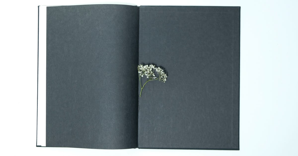 Black and white science fiction movie with aliens and dome [closed] - Top view of opened book with black pages with small thin twig of white gypsophila plant