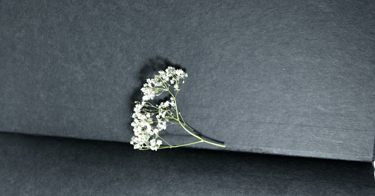 Black and white science fiction movie with aliens and dome [closed] - Top view of tiny thin twig of white gypsophila plant place in opened book with black pages