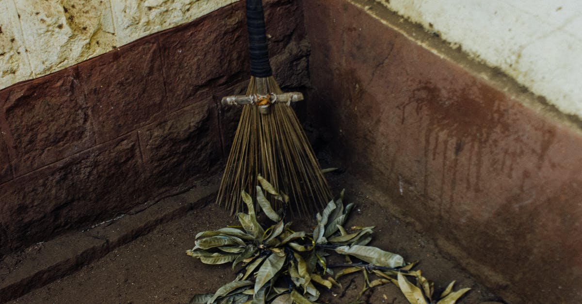 Can any broom be used to fly in Harry Potter? - From above of broom for sweeping dry leaves placed near dirty wall with spots