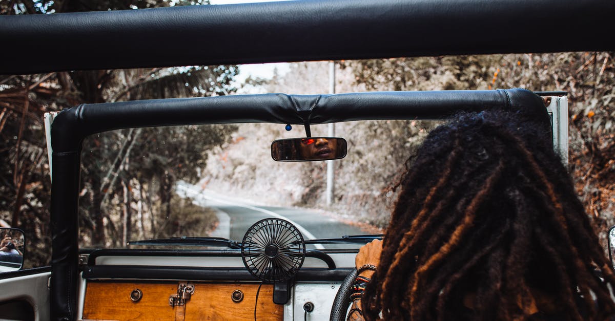 Can corns be grown the way in the VVitch? - Back view of unrecognizable traveler with stylish dreadlocks spinning steering wheel while driving car and reflecting in small mirror
