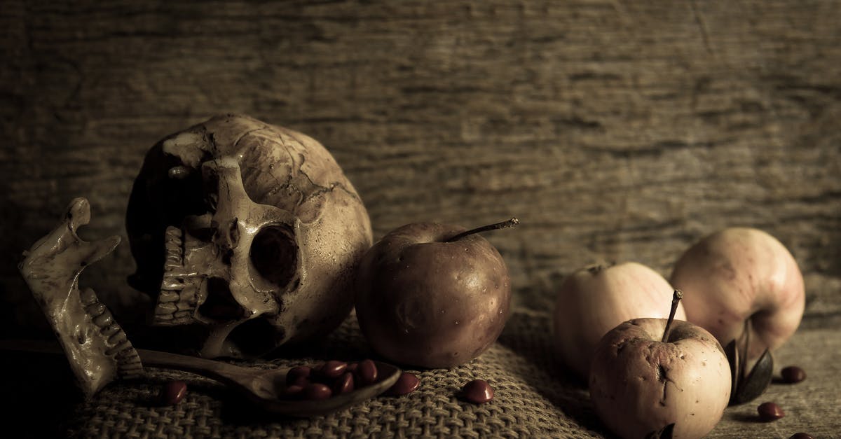 Can muggles see the Dark Mark skull cloud? - Broken Skull Beside Apples and Spoon
