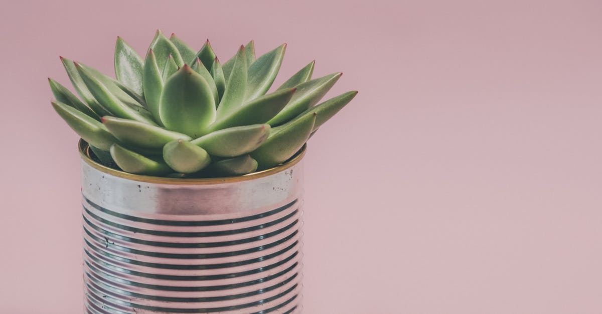 Can Parallel Trials Like This Happen in Real Life? - Photo of a Succulent Plant 