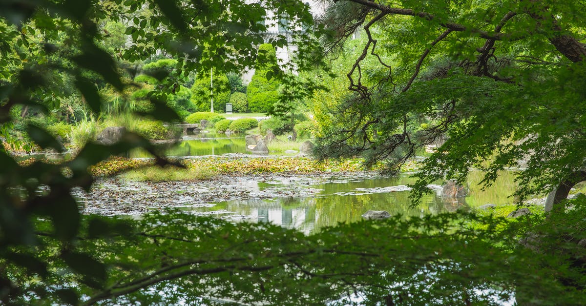 Can someone explain mirror scene with Ariadne in Inception? - Scenic view of bright trees and shrubs growing near water in botanical garden on summer day