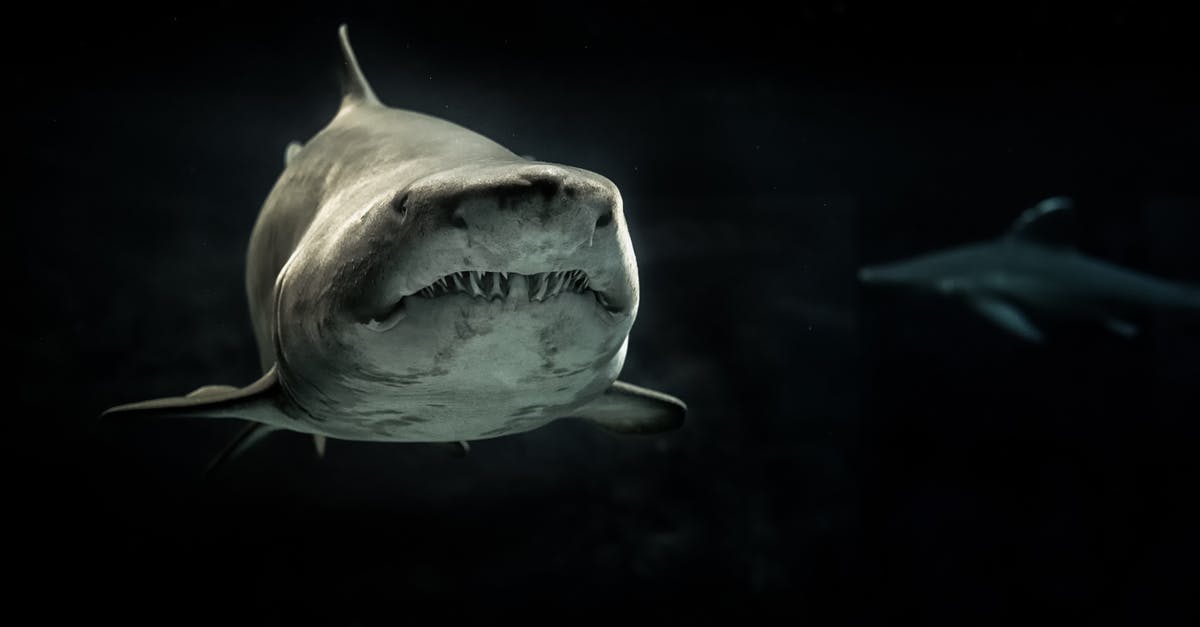 Cannister in the banker's mouth in the dark knight - Selective Photo of Gray Shark