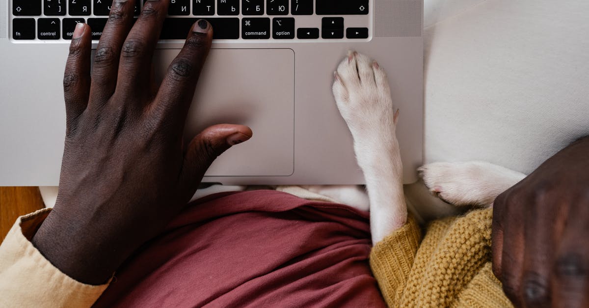 Comedy where a guy glues a dog to his hand while hiding in closet [closed] - Top view of crop unrecognizable African American male typing on netbook with paw of dog aside