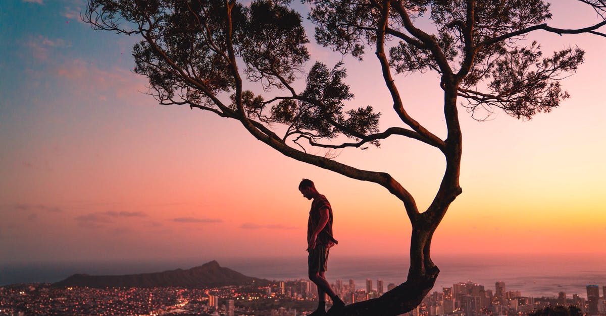 Confused About Translators' Philosophy When They Create Subtitles And Dubbing For Movies - Man Standing on Tree Branch during Sunset