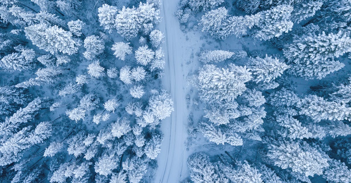 Could Hank really have pulled footage of Jesse's RV from the ATM? - Aerial Photography of Snow Covered Trees