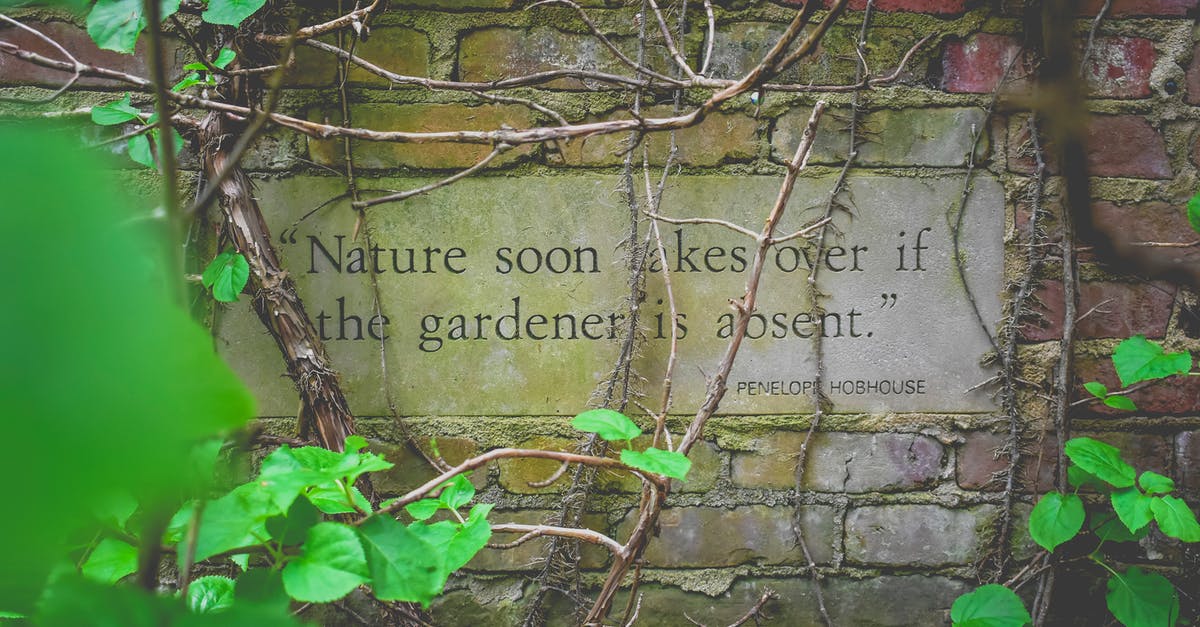 Crist's quotation on “Airport” - From above author citation on signboard on old brick wall near growing creeping plants with colorful leaves and dry twigs