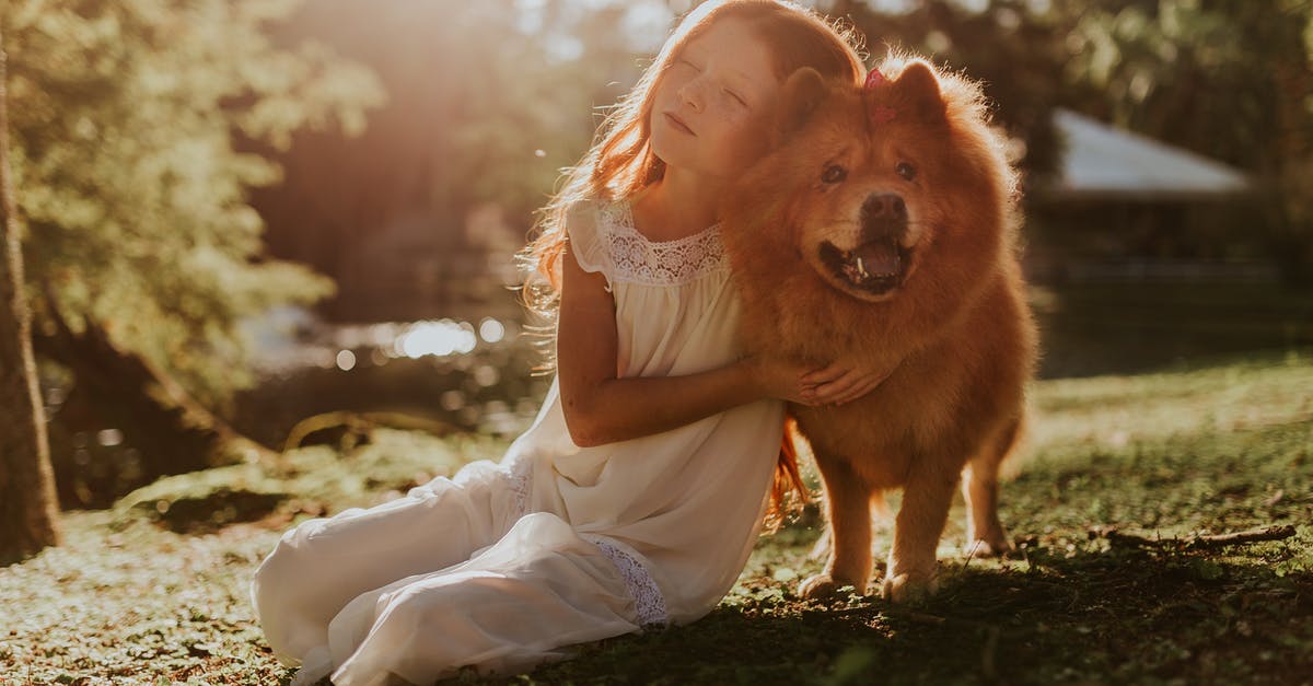 Deaf girl finds a dog and trains him to be a service dog [closed] - Girl Hugging Adult Chow Chow Sitting on Grass Field