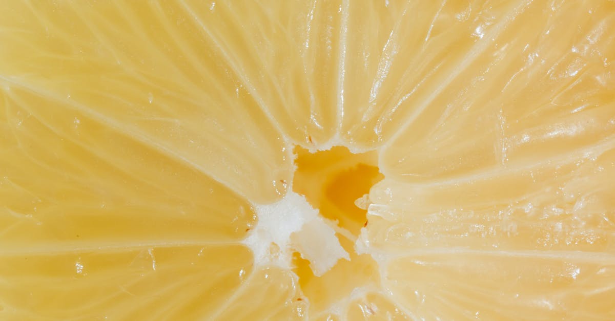 Did Bernard Just Reach the Center of his Maze? - Closeup cross section of lemon with fresh ripe juicy pulp