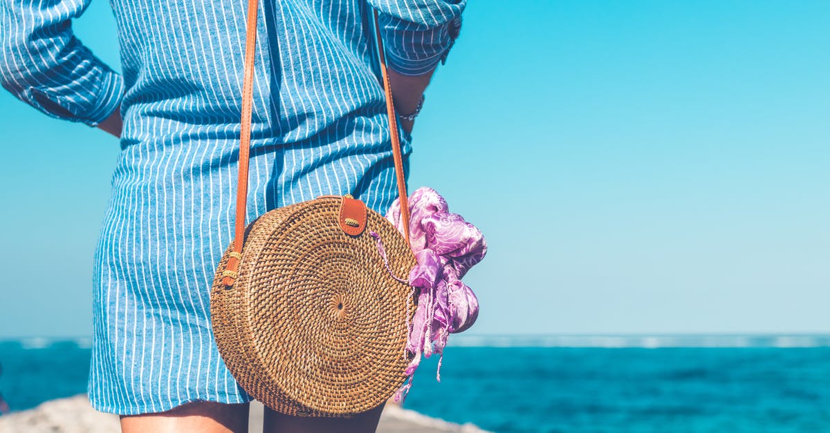 Did Doc Brown warn Marty to never travel to 2020 or what year did he warn about? - Woman Wearing Blue and White Striped Dress With Brown Rattan Crossbody Bag Near Ocean
