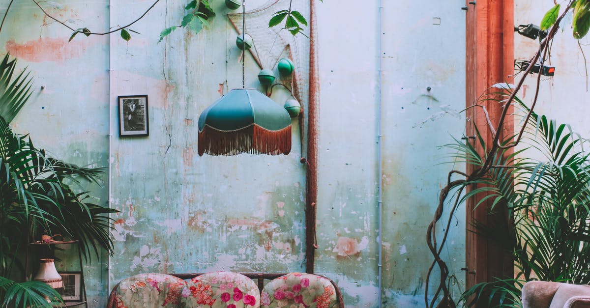 Did Helen not bother finding out what Anthony does for a living? - Interior of room with vintage chandelier and green plants growing above old coach at shabby wall with wooden column