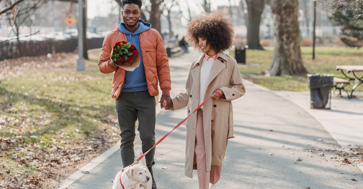 Did Lalo do this to the innocent couple in S6E01? - Full body of positive African American couple promenading with adorable fluffy funny dog in park
