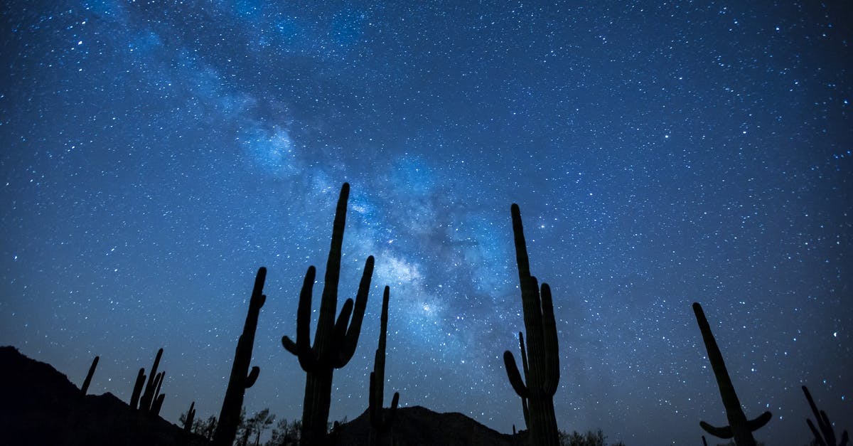 Did Nebula know what would happen? - Cactus Plants Under the Starry Sky