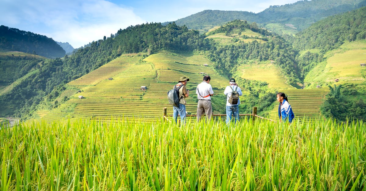 Did Spike really torture people with railroad spikes? - Anonymous ethnic travelers with rucksacks interacting between rice plantation and green mountain with trees under cloudy blue sky in countryside