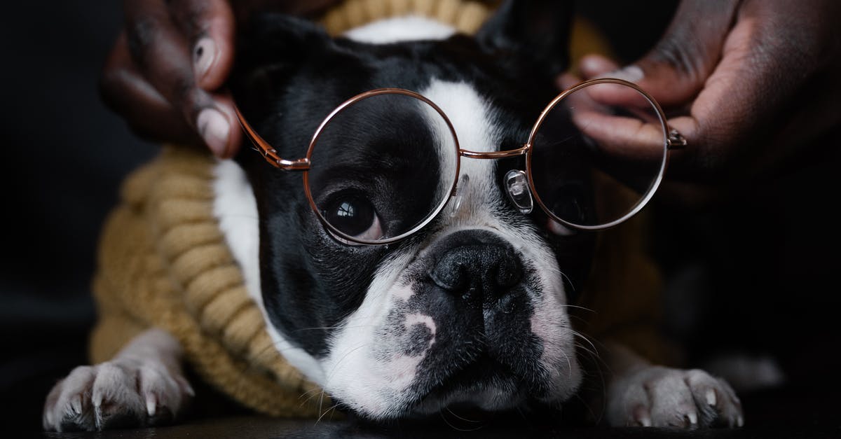 Did the actors in All Creatures Great and Small actually have their hands in the animals? - Funny dog lying on floor with glasses