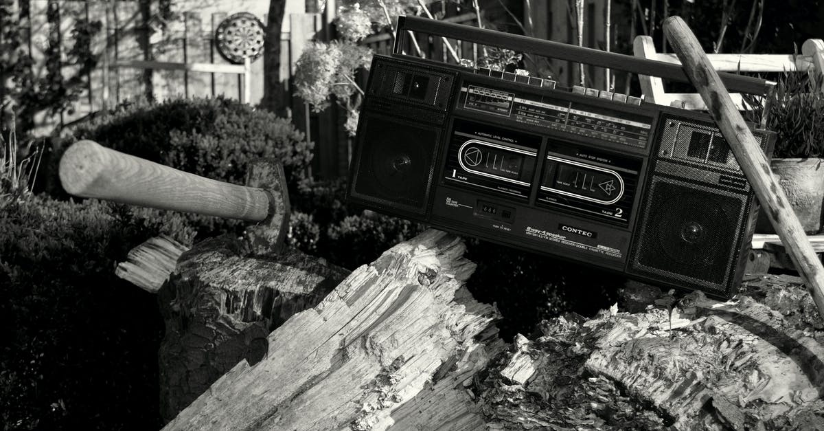 Did Wags mean that he and Axe had been to prison? - Grayscale Photography of Radio on Tree Trunk With Axe