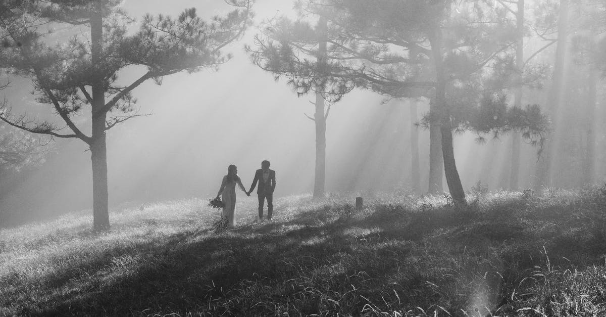 Didn't Branch and Poppy already become a couple in the first Trolls movie? - Grayscale Photography of Man and Woman Holding Hands