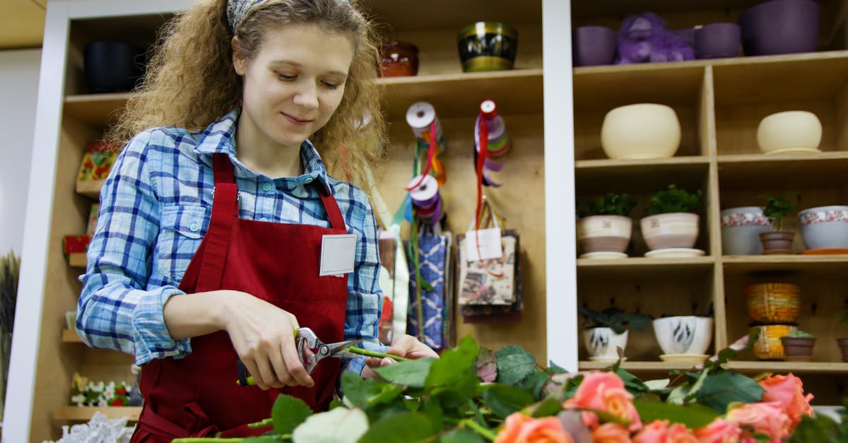 Director's Cut, Editor's Cut, Theatrical Cut. What do these mean? - From below of positive female florist in apron and hairband using scissors for cutting low parts of rose branches placed on table in workspace against shelves with flower pots and decorations for presents