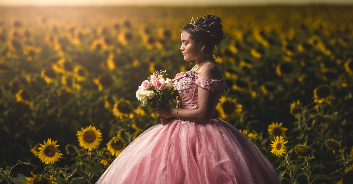 Do any other episodes of The Big Bang Theory mention The Princess Bride when Kripke is present? - Peaceful young ethnic woman in pink gown standing in sunflower field