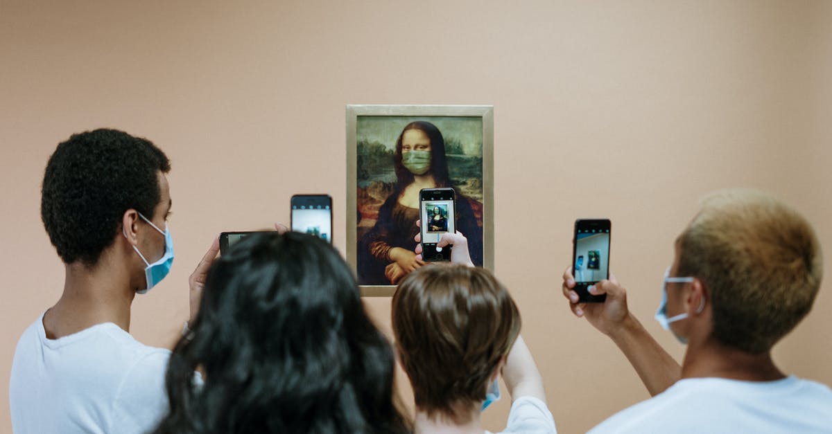 Do broadcasting authorities care about international offensive language? - People Taking Picture of A Painting Of Mona LIsa With Face Mask