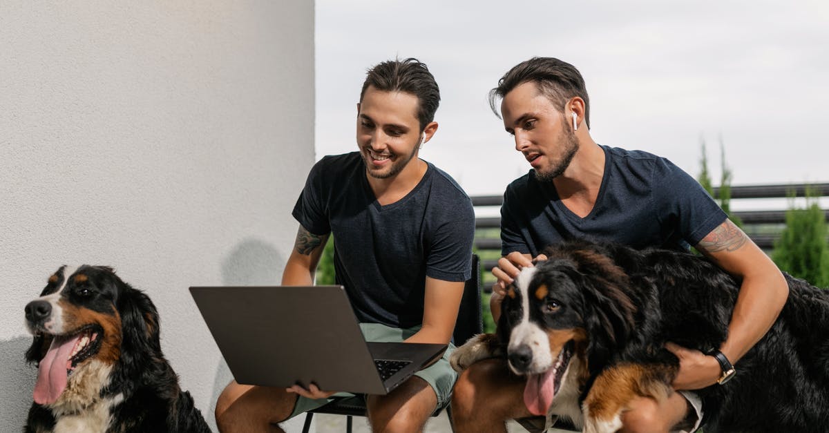 Do dogs identify twins in humans? - Twins Looking at a Laptop Together while with their Pets