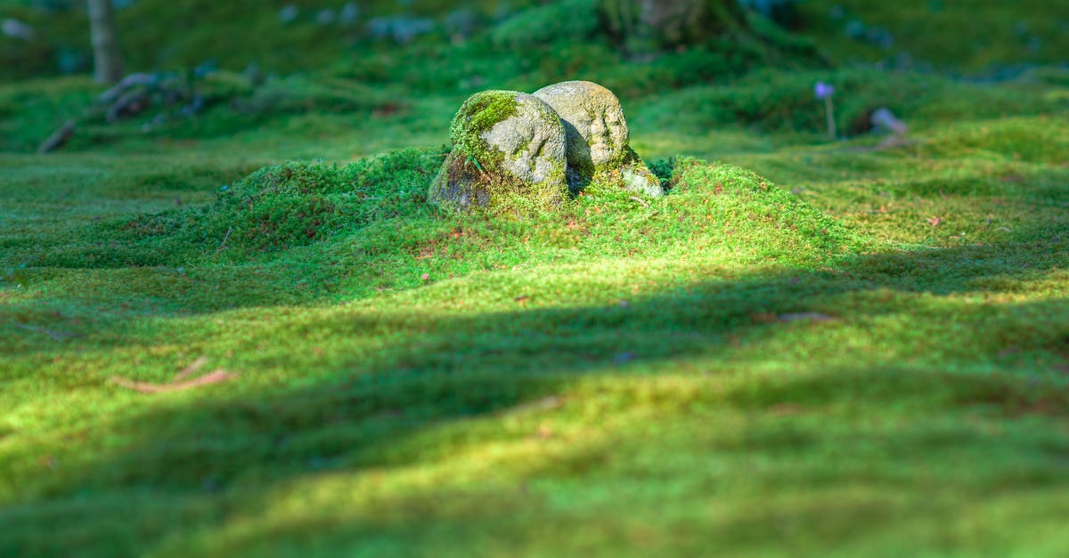 Do the ancient Japanese healing methods really work? - Gray Rock Formation on Grass Field