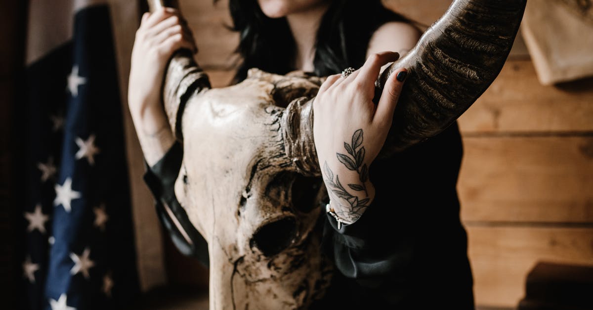 Does American Beauty advocate Taoism? - Crop young brunette with tattooed arms and legs with long horned animal skull sitting near wooden wall with US flag