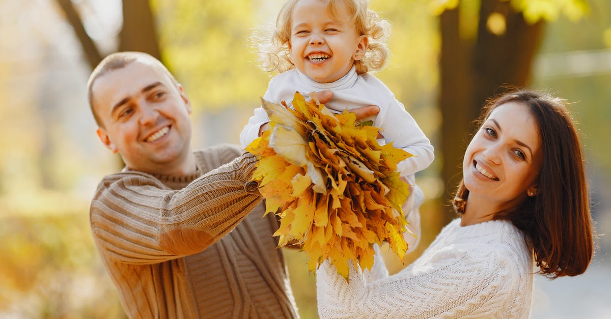 Does Beth leave or stay with the family? - Delighted parents in warm knitted sweater holding little daughter with bunch of yellow leaves while walking together in autumn park during weekend