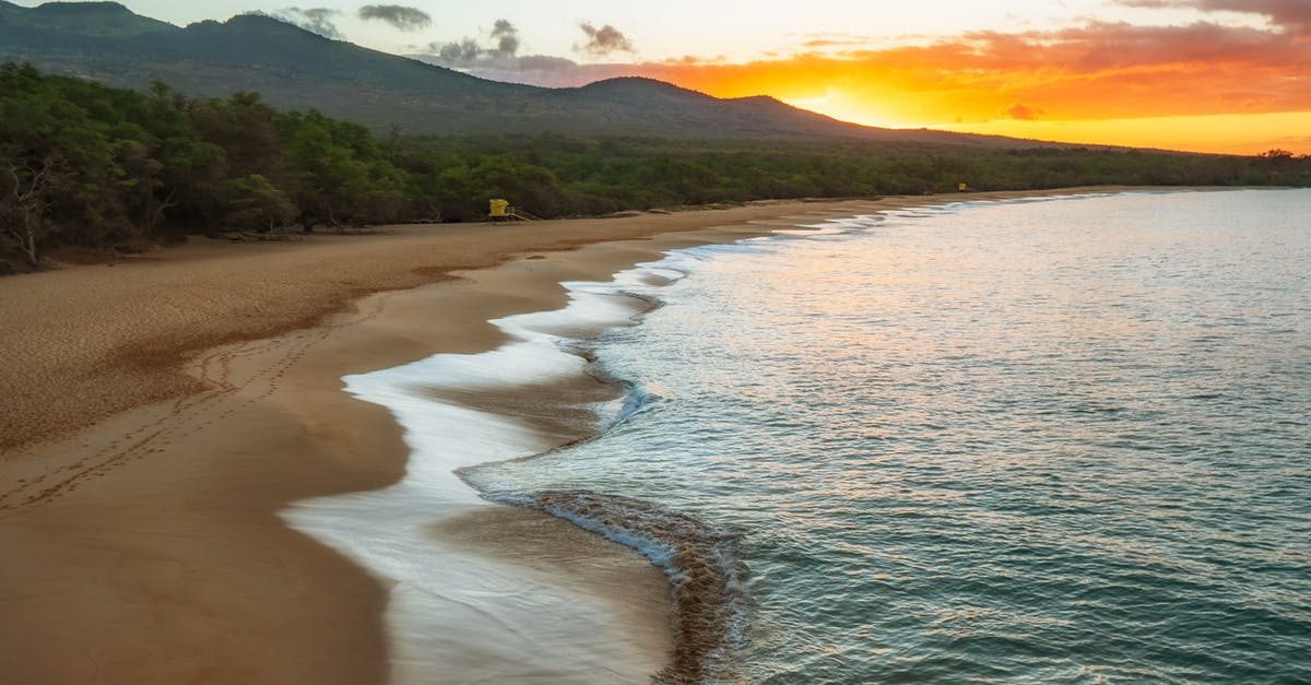 Does Maui really need his fishook to do magic? - Green Trees Beside Body Of Water During Sunset