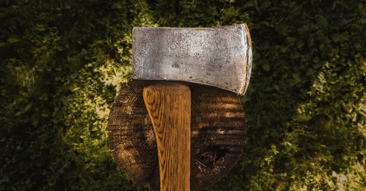 Does Maximus' blocking an axe with the sharp edge of his gladius make sense? - Brown Hatchet on Log