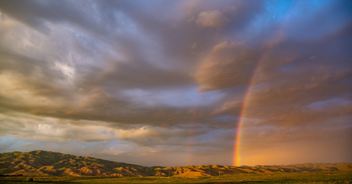 Does Ruby Rhod fall under rainbow umbrella, is it even established in the film? - Green Grass Field during Sunset