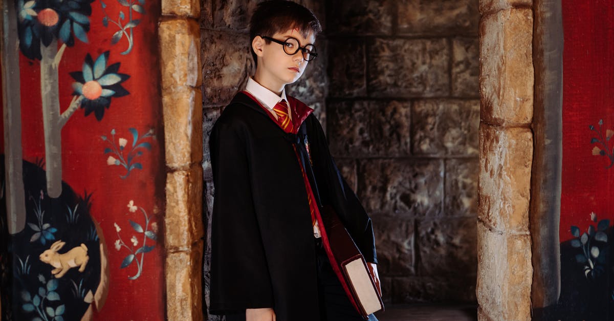 Does the Elder Wand really belong to Harry Potter? - A Boy wearing Harry Potter Costume