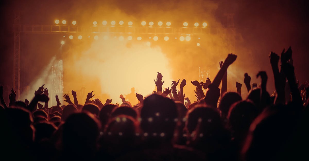 Does the music festival really exist? - People at Concert