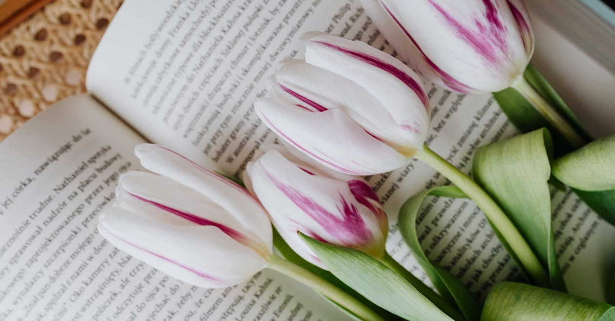 Does the story take place across a single day or over a longer period? - Bunch of elegant white violet fresh flowers lying on page of fiction at home