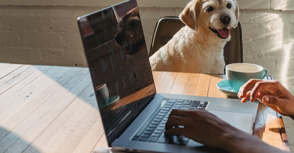 Does Will Ferrell use the same dog in his roles? - Crop anonymous young African American female freelancer using netbook and drinking coffee while sitting at table near dog